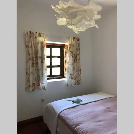 Abrigo Dos Lobos * 帕雷迪什迪科拉